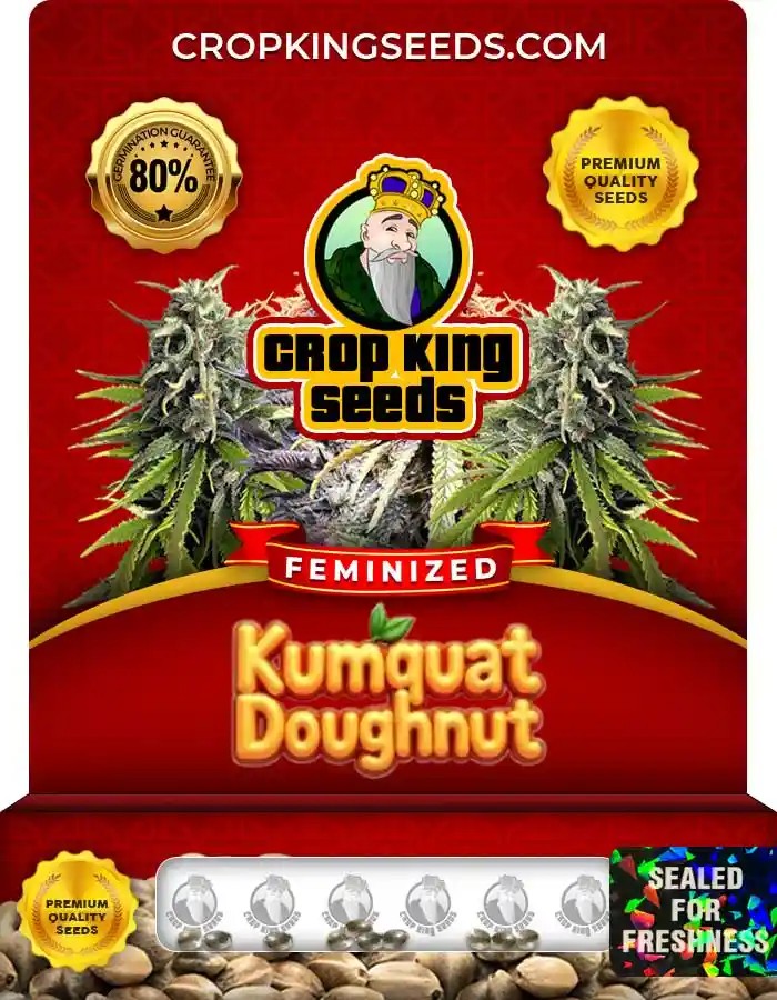 Kumquat Doughnut Strain Feminized Seeds