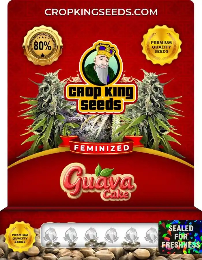 Guava Cake Strain Feminized Seeds