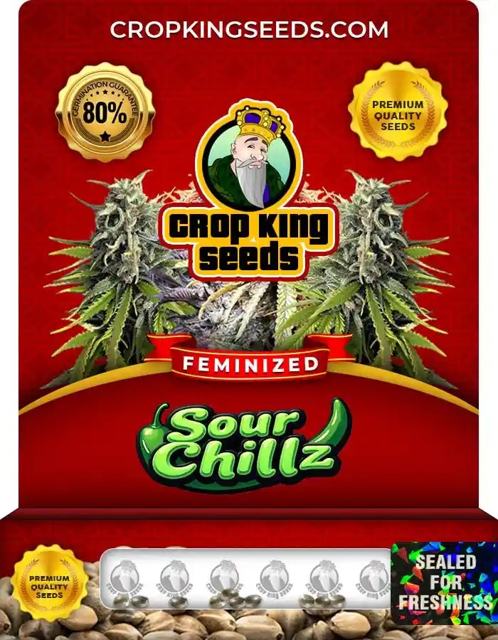 Sour Chillz Strain Feminized Marijuana Seeds