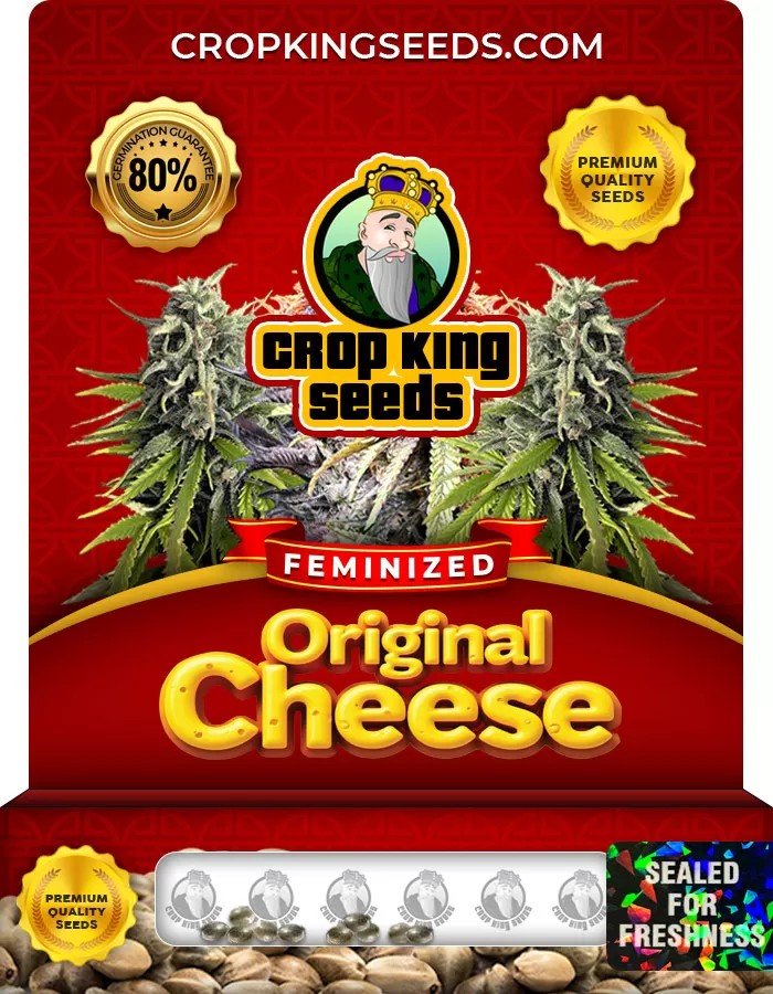 Original Cheese Feminized Marijuana Seeds