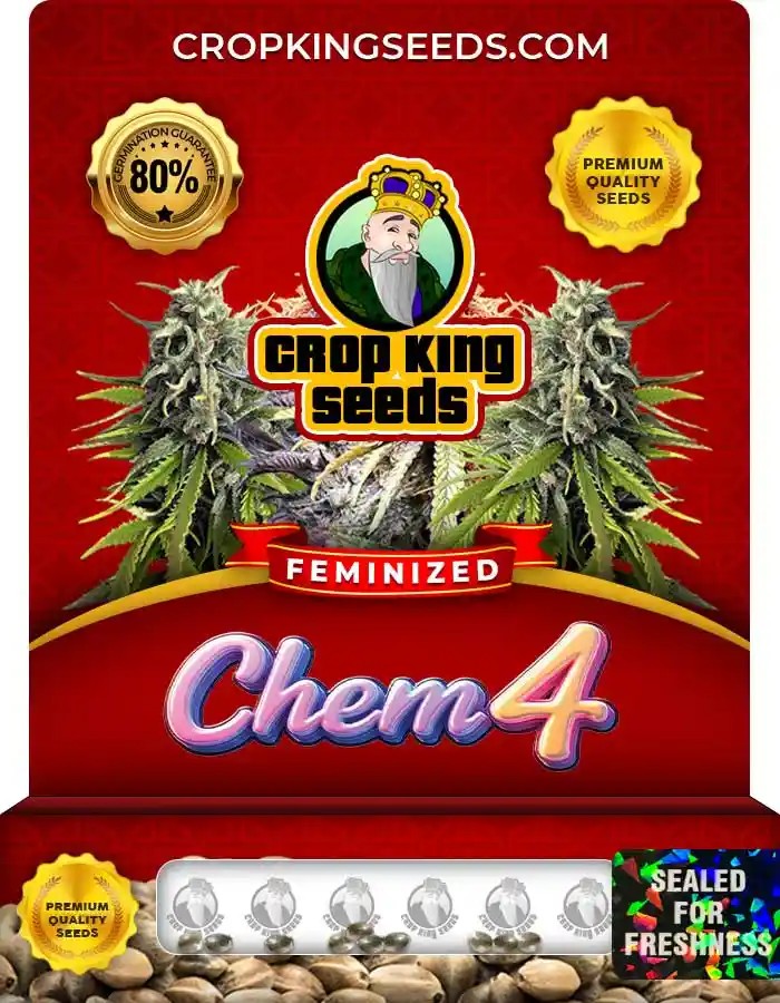 Chem 4 Strain Feminized Marijuana Seeds
