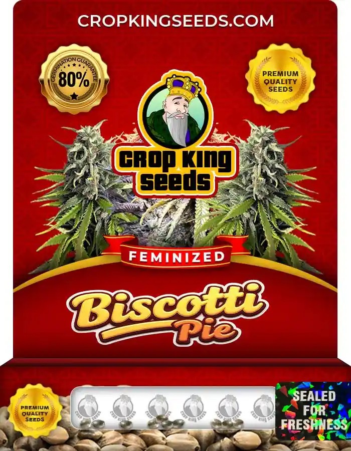 Biscotti Pie Strain Feminized Marijuana Seeds