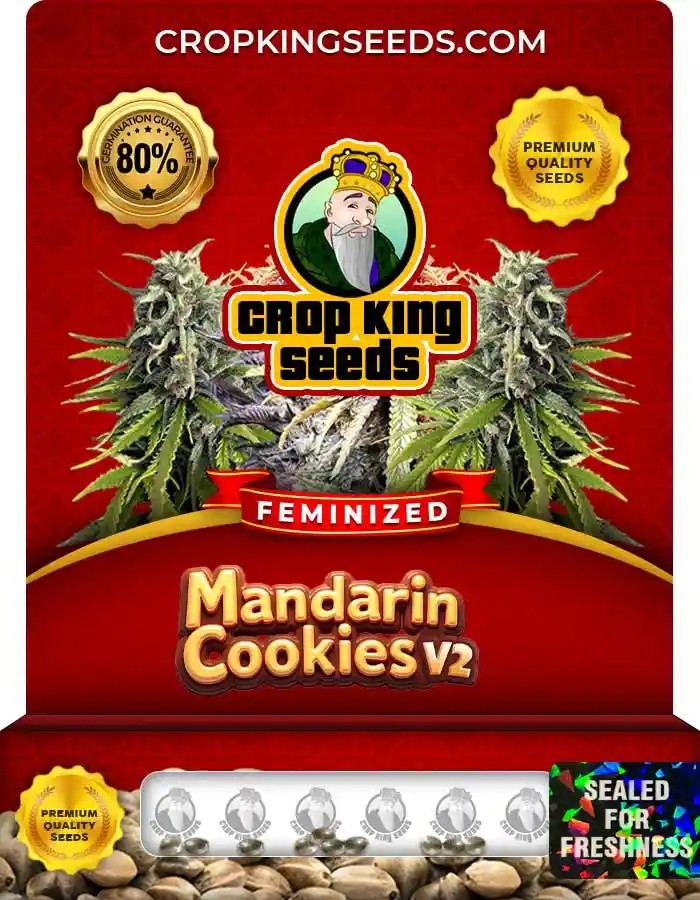 Mandarin Cookies V2 Feminized Seeds