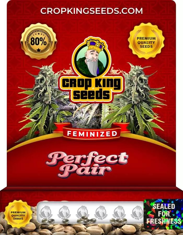 Perfect Pair Feminized Seeds