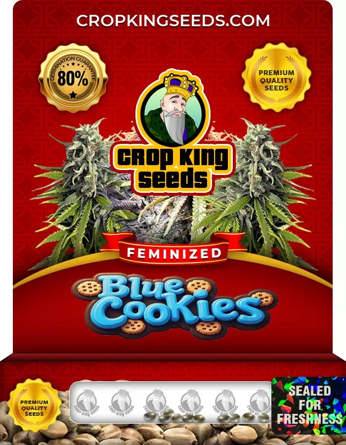 Blue Cookies Feminized Marijuana Seeds