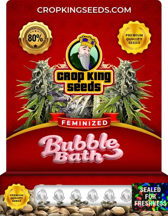 Bubble Bath Strain Feminized Marijuana Seeds