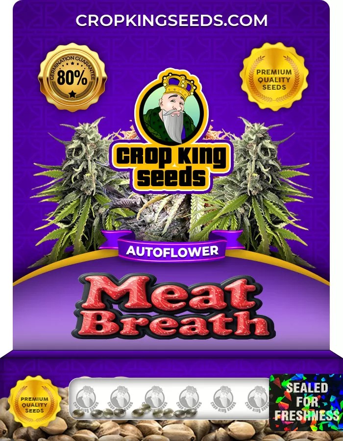 Meat Breath Autoflower Marijuana Seeds