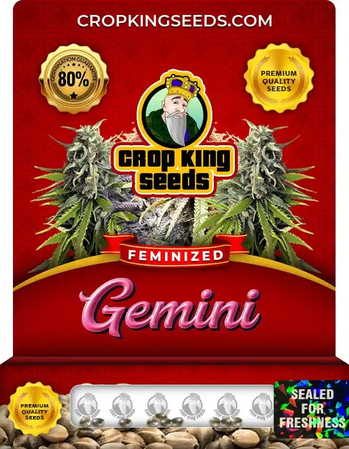 Gemini Strain Feminized Marijuana Seeds
