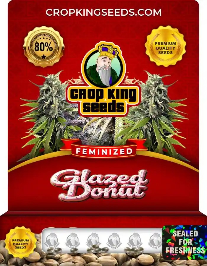 Glazed Donut Strain Feminized Marijuana Seeds