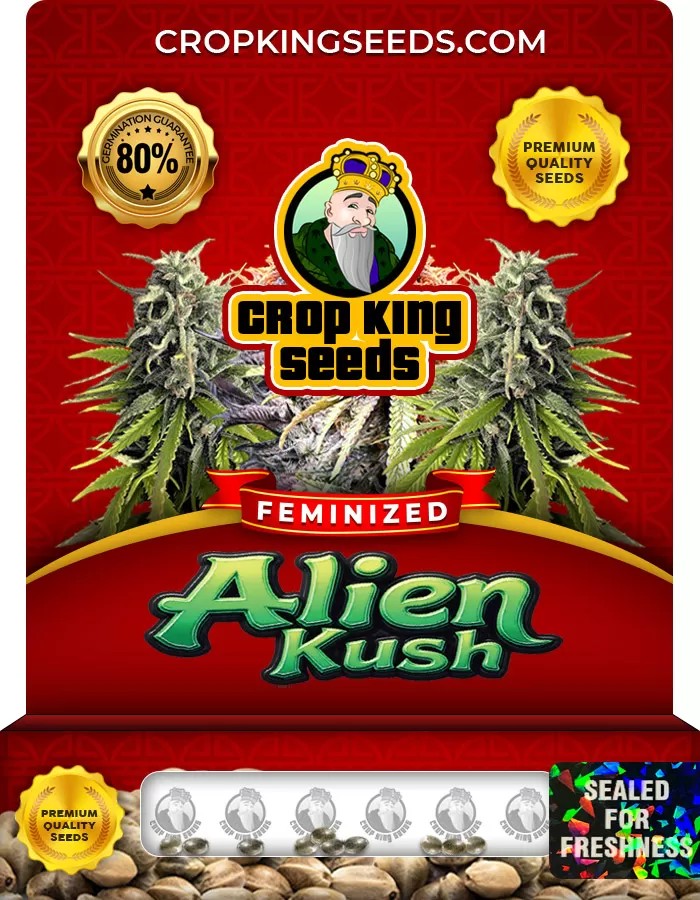 Alien Kush Feminized Marijuana Seeds