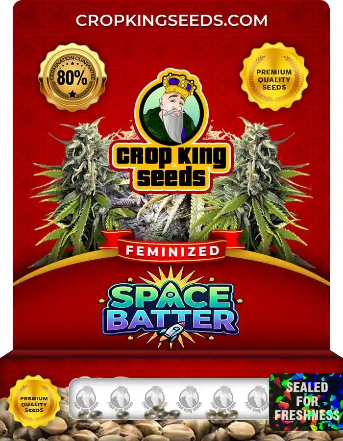 Space Batter Strain Feminized Seeds