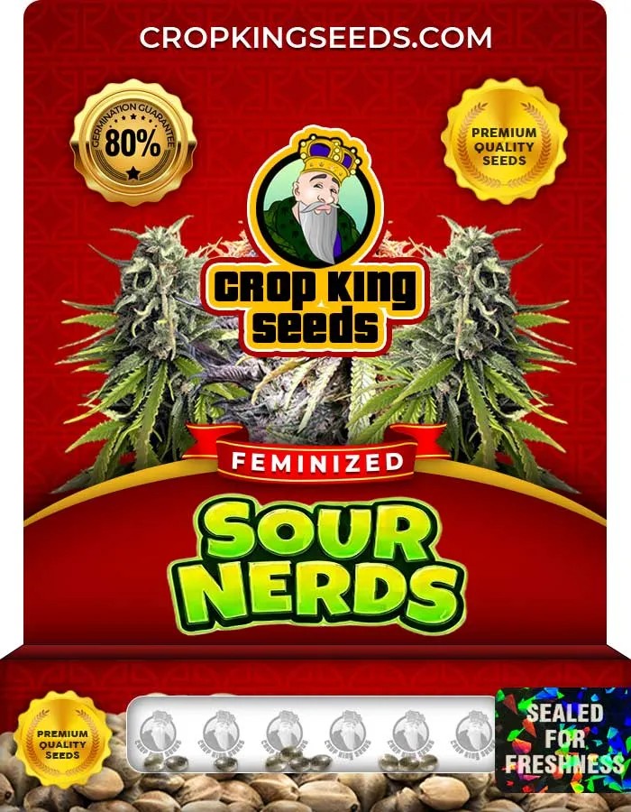 Sour Nerds Strain Feminized Seeds