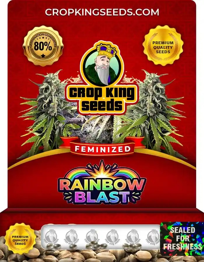 Rainbow Blast Feminized Seeds