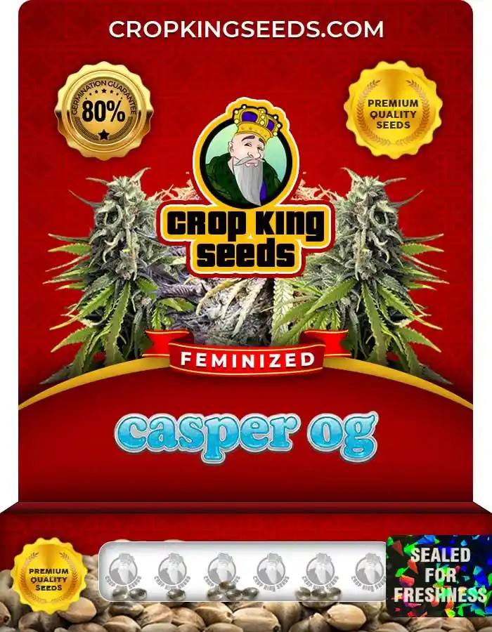 Casper OG Feminized Seeds