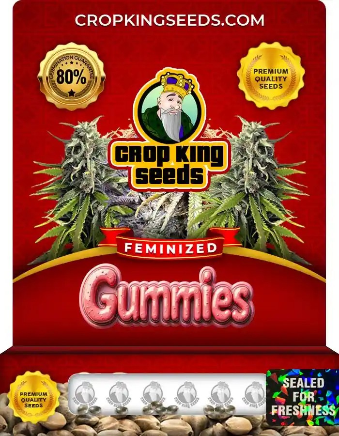 Gummies Strain Feminized Marijuana Seeds