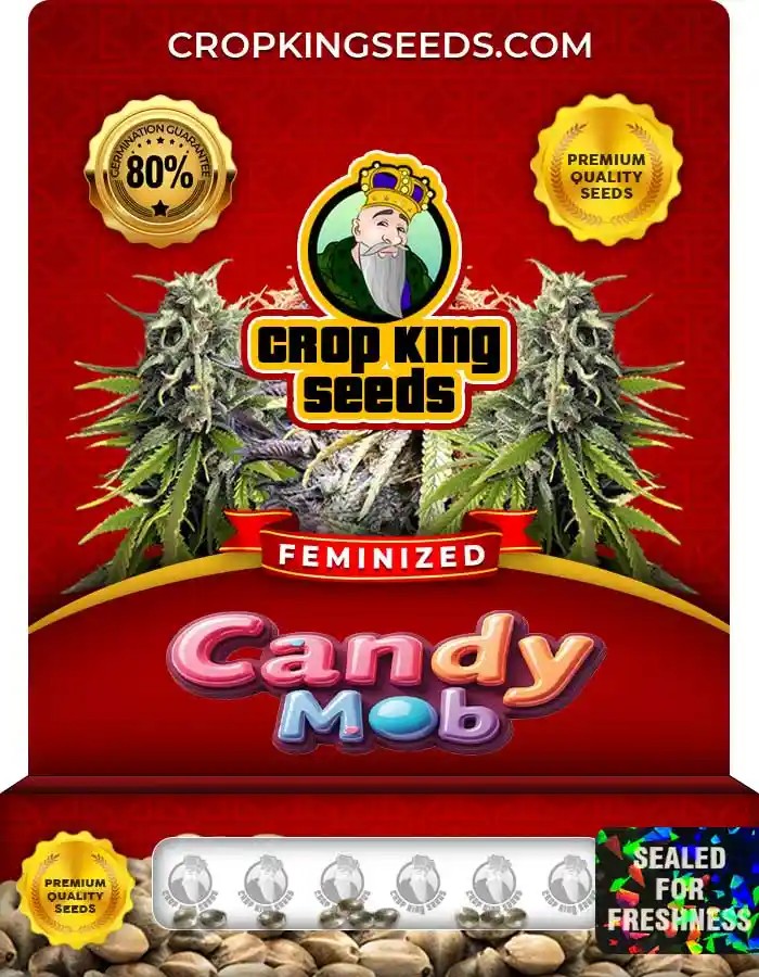 Candy Mob Feminized Seeds