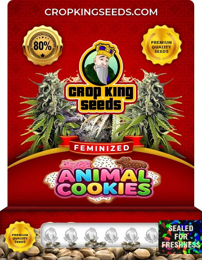Animal Cookies Strain Feminized Seeds
