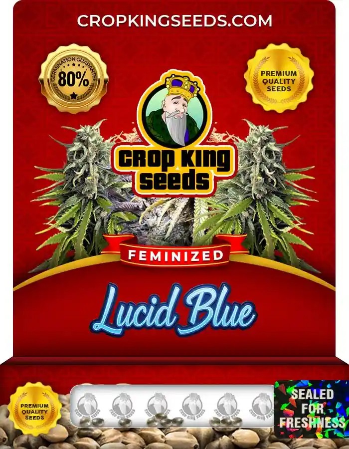 Lucid Blue Strain Feminized Marijuana Seeds
