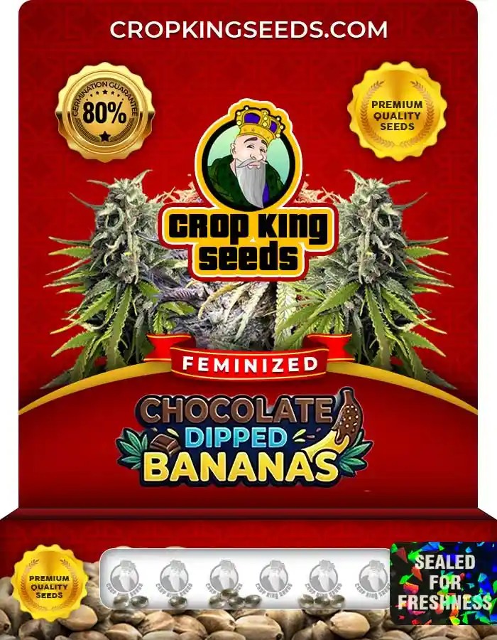 Chocolate Dipped Bananas Feminized Seeds