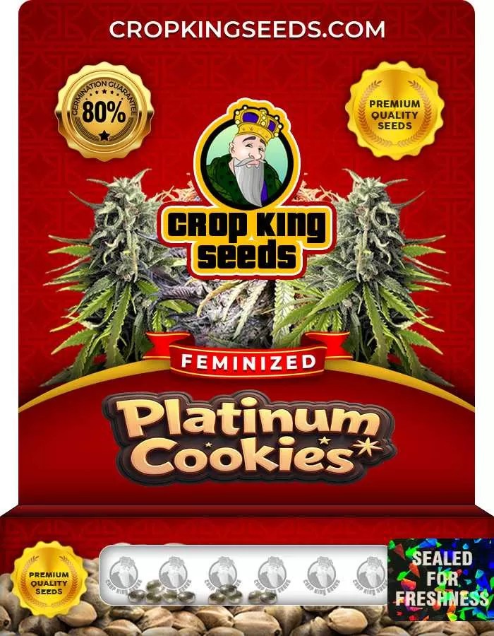 Platinum Cookies Strain Feminized Marijuana Seeds