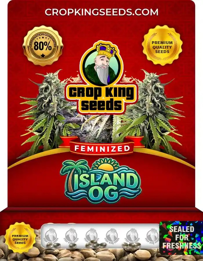 Island OG Feminized Seeds
