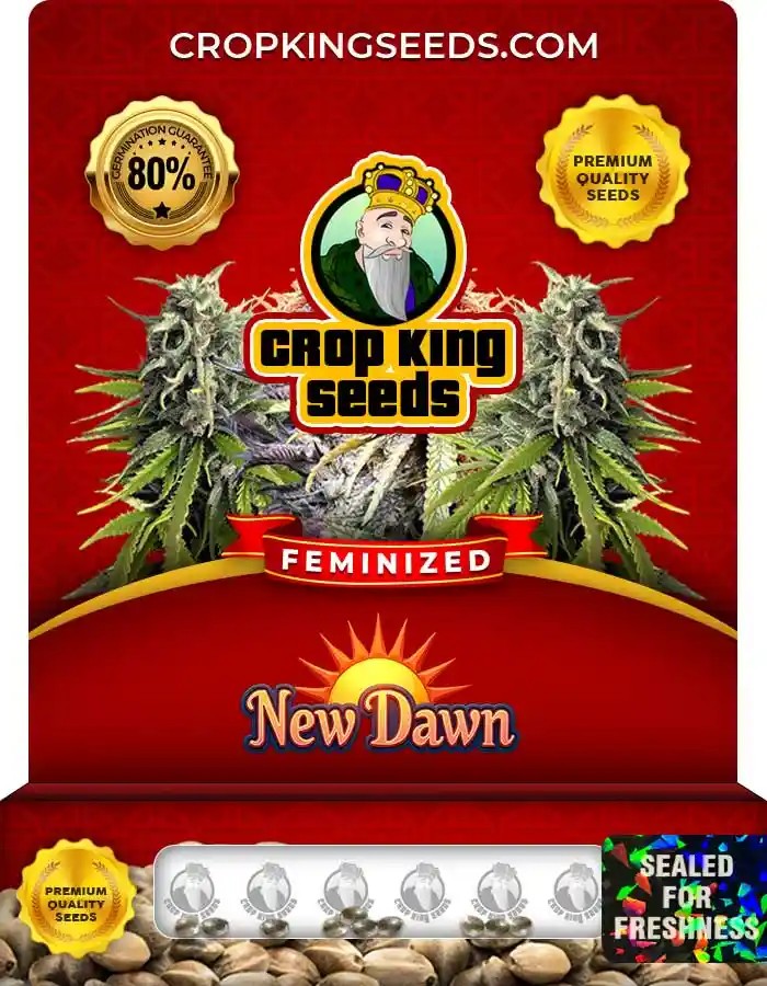 New Dawn Strain Feminized Seeds
