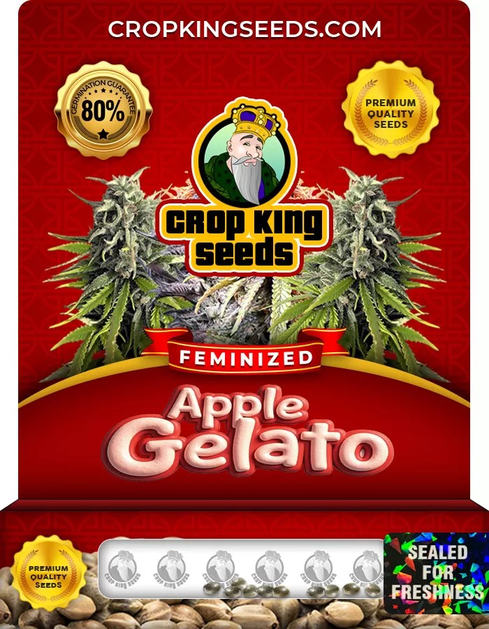 Apple Gelato Feminized Marijuana Seeds