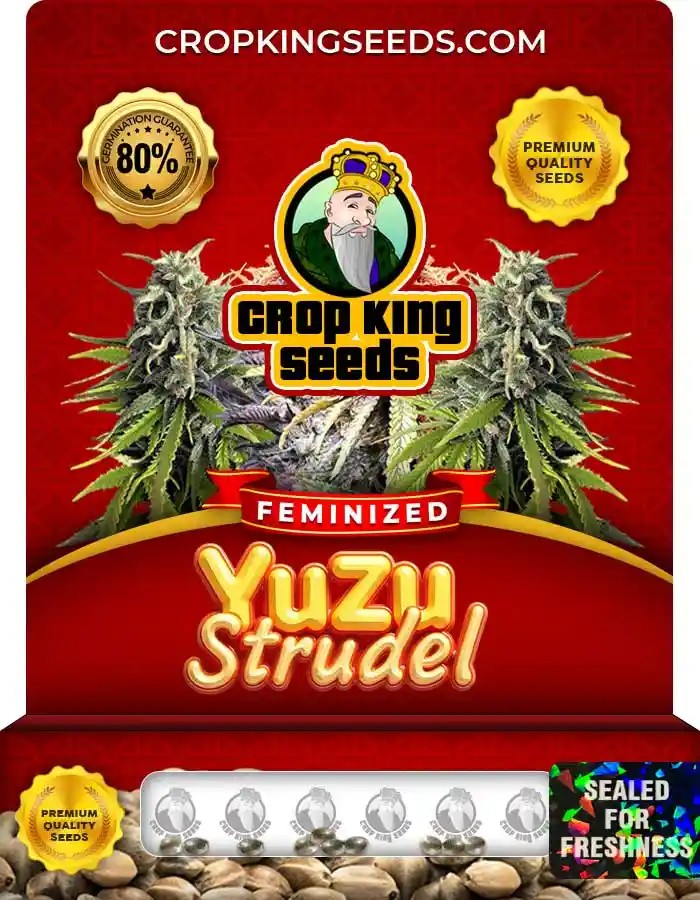 Yuzu Strudel Strain Feminized Seeds