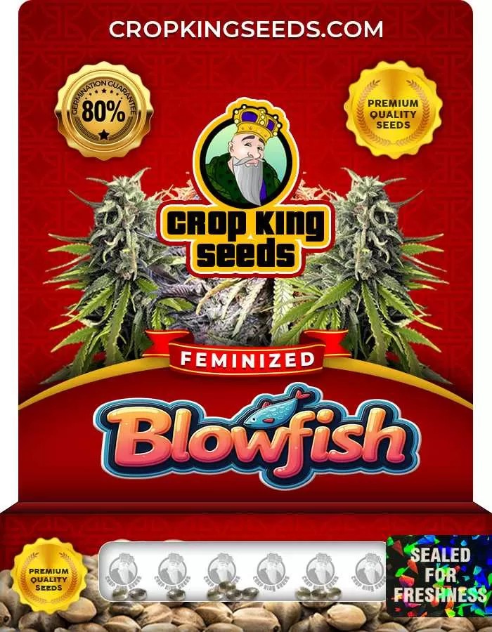Blowfish Feminized Seeds