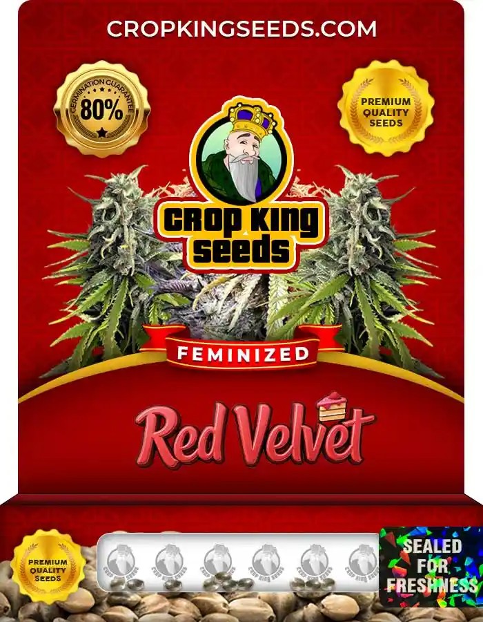 Red Velvet Strain Feminized Marijuana Seeds
