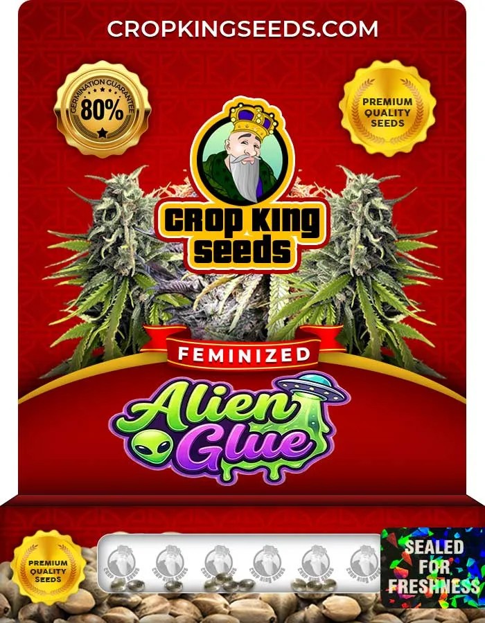 Alien Glue Strain Feminized Seeds