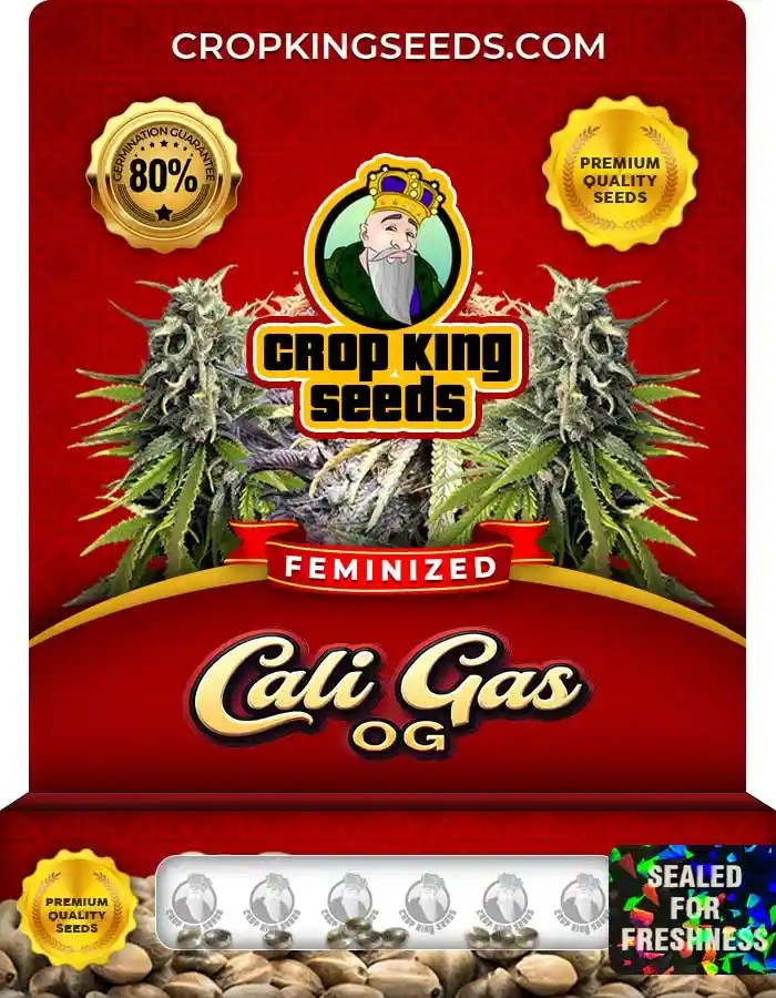 Cali Gas OG Strain Feminized Marijuana Seeds