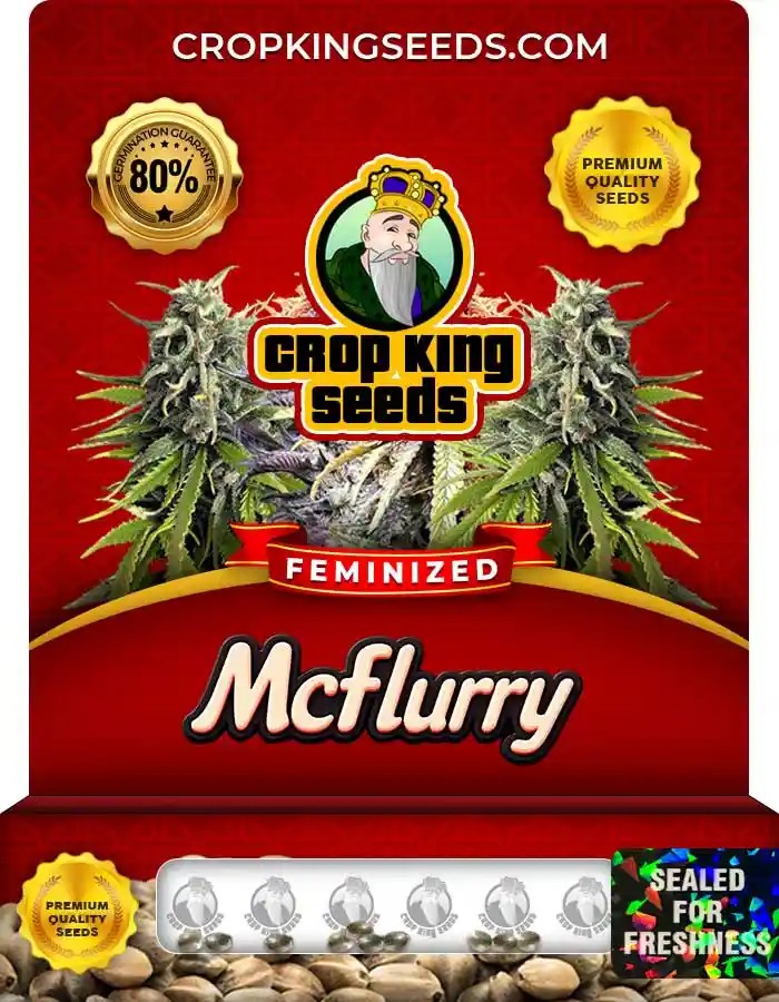 McFlurry Strain Feminized Marijuana Seeds