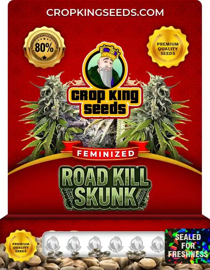 Road Kill Skunk Feminized Seeds
