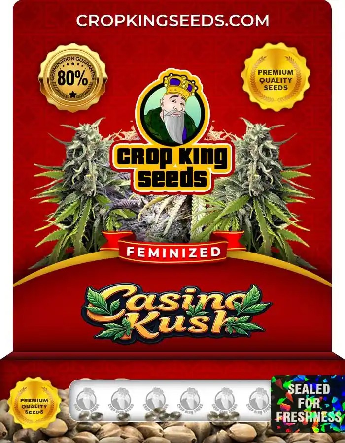 Casino Kush Feminized Marijuana Seeds