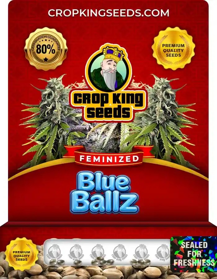 Blue Ballz Strain Feminized Seeds