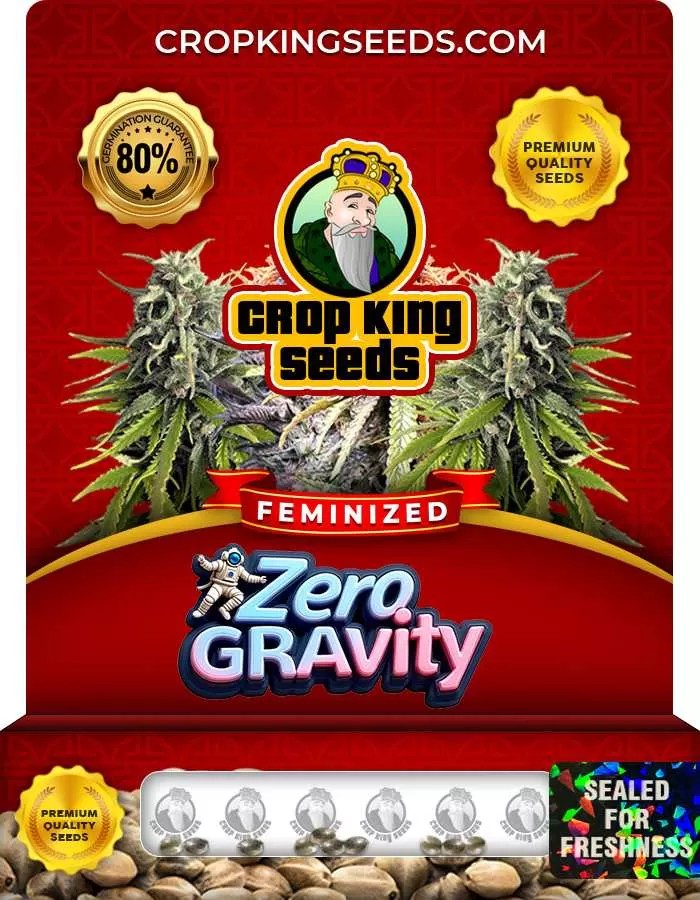Zero Gravity Strain Feminized Marijuana Seeds
