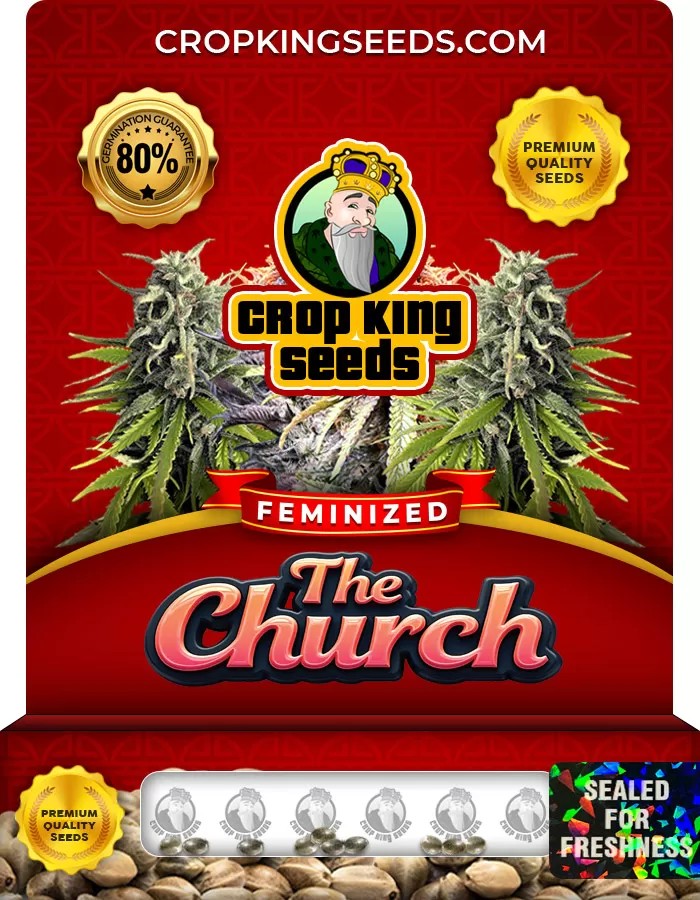 The Church Strain Feminized Marijuana Seeds