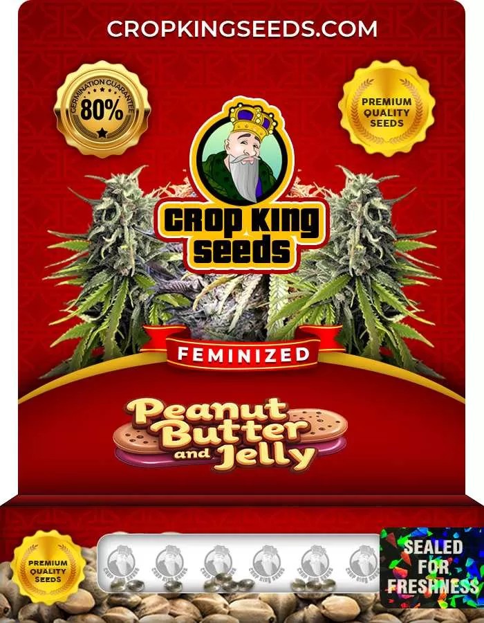 Peanut Butter and Jelly Strain Feminized Marijuana Seeds