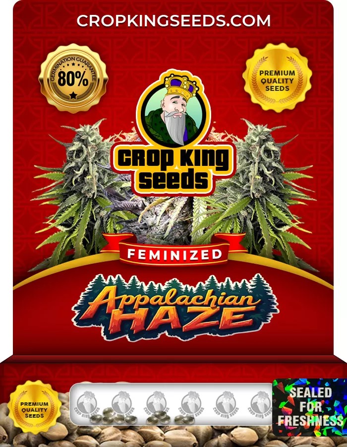 Appalachian Haze Feminized Seeds