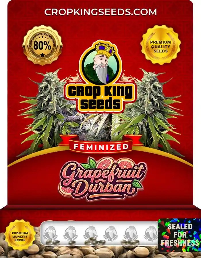 Grapefruit Durban Strain Feminized Marijuana Seeds