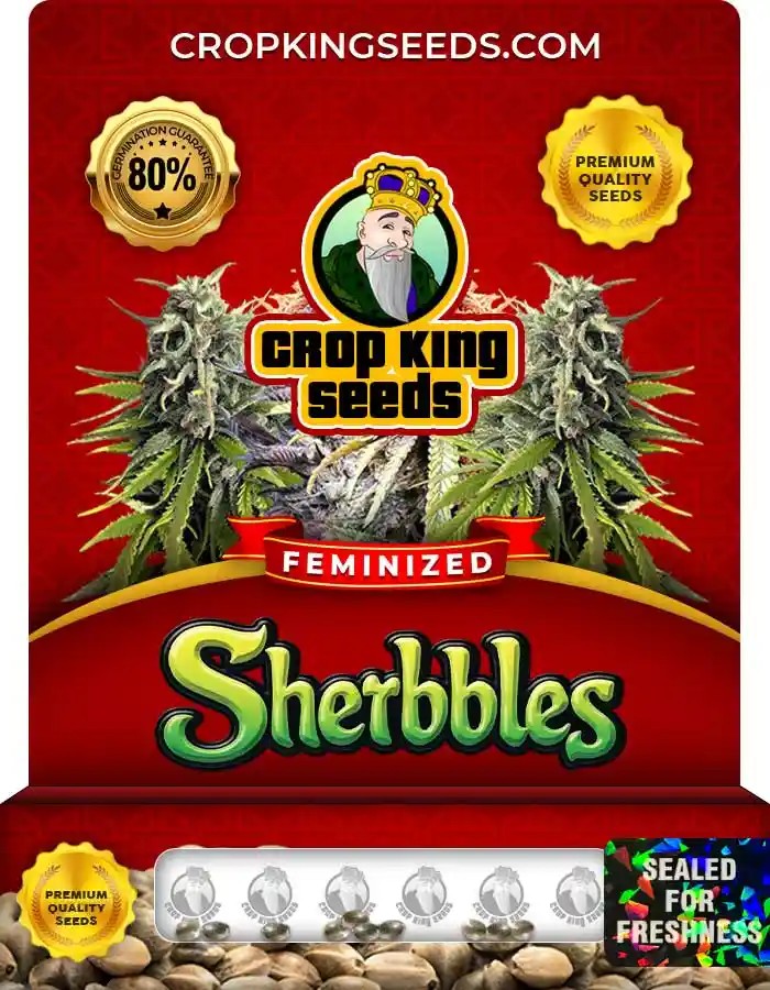 Sherbbles Feminized Seeds