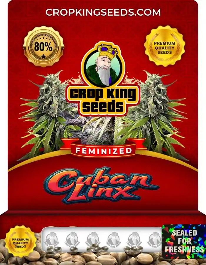 Cuban Linx Strain Feminized Marijuana Seeds