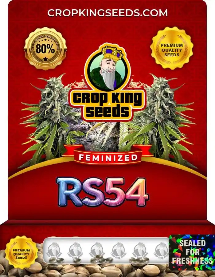 RS54 Strain Feminized Marijuana Seeds