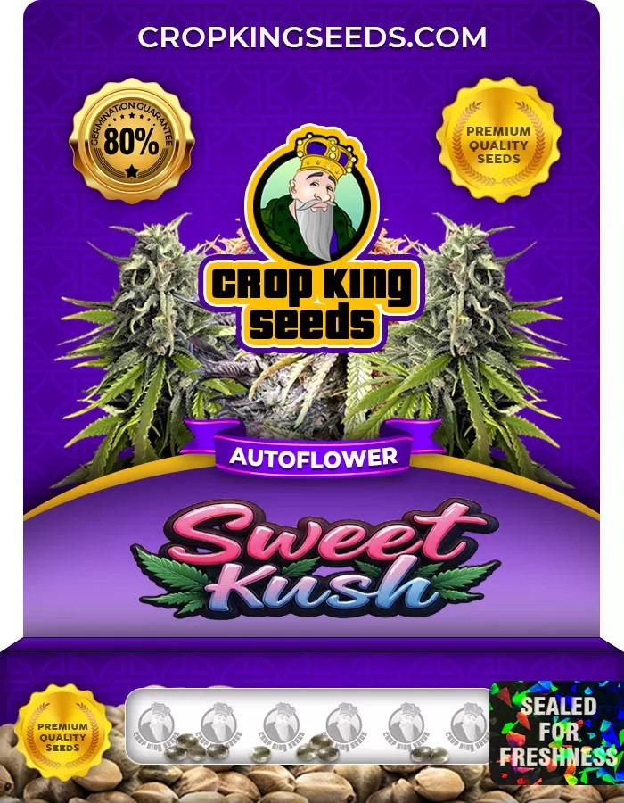Sweet Kush Autoflower Marijuana Seeds