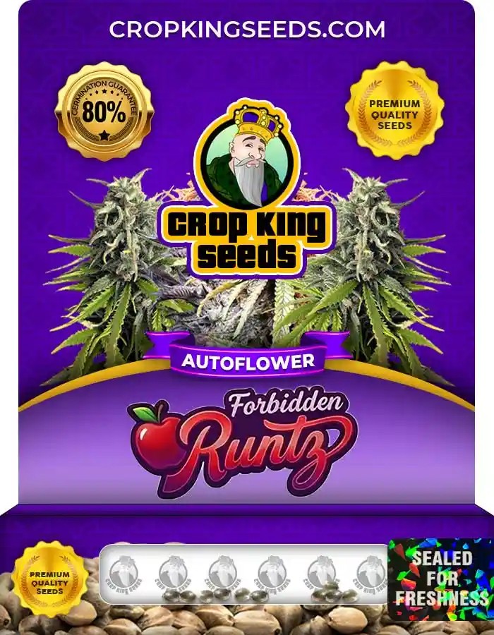 Forbidden Runtz Autoflower Seeds