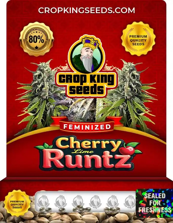 Cherry Lime Runtz Strain Feminized Marijuana Seeds