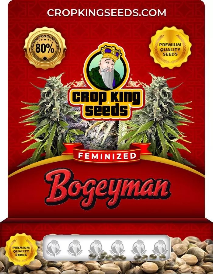 Bogeyman Feminized Seeds