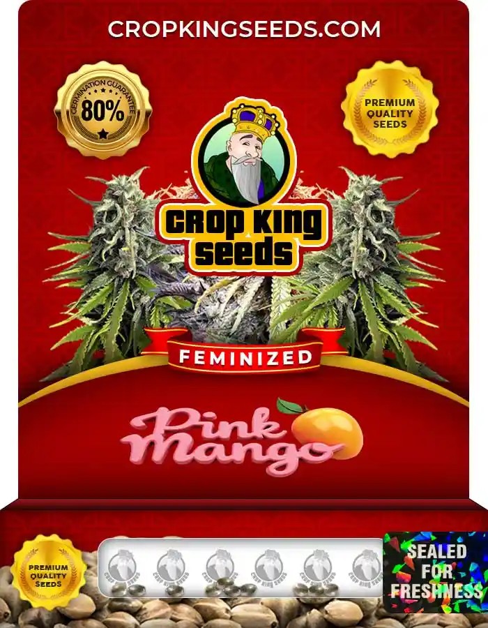 Pink Mango Feminized Marijuana Seeds