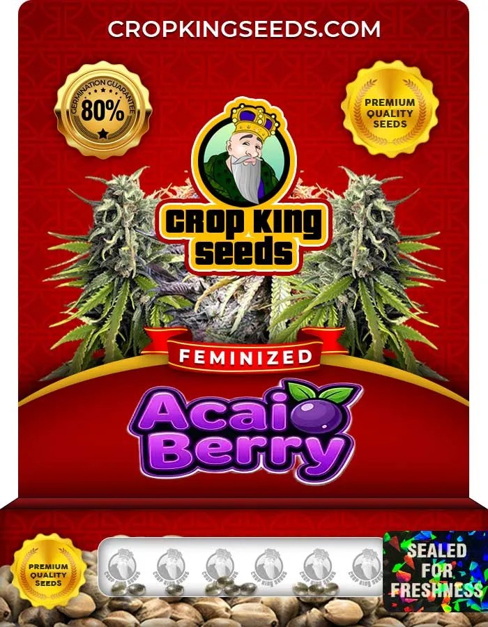 Acai Berry Strain Feminized Seeds